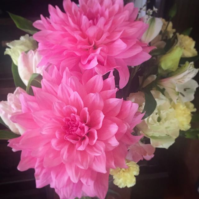 先日は亡き母の誕生日だった。そこで思いついて、この間の定休日、仏壇を隅々まで念入りに掃除してピカピカにした。すると昨日、母の親友がお店にご飯を食べにきてくれた。そして、この花をいただいたのだった。「本当はママの誕生日までに来ようとしていたんだけど、私も介護しなきゃいけない立場になっちゃって、なかなか来れなくてごめんね。仏壇に飾る花だからと思ったんだけど、どうしてもダリアに目がいっちゃって。他のお花は地味目に押さえておいたからね。ママが生きてたら面白かったのにって、たまに思うのよ」絶対に喜びますよ。そんな彼女は、母がパブのママさんをやっていた時、斜め前のお店でママさんだった「ママ友」。和服の似合う、小股の切れ上がった良い女とはこういう人のことを言うのじゃないかな。「耳は遠くなるし、目も悪いし、いやあねえ歳とっちゃって!」いやいや、まだまだ、お綺麗です。母とじゅじゅのママ。あんな女に私もなりたい。