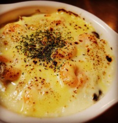 11327383_422863061235860_163967690_n