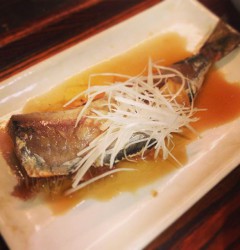 13266886_1301524233209317_2051908681_n