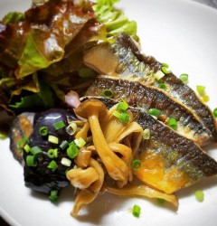 14606931_819073304896439_2649394243470098432_n