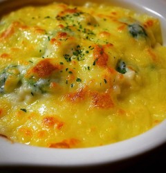 チキンとブロッコリのマカロニグラタン