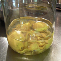 Limoncello02