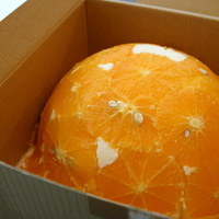 orangecake