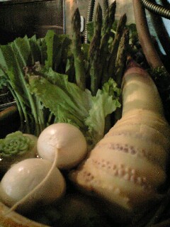 200804030508001644700117CM52_1